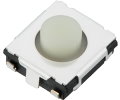 EVQQ2203W