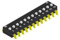 DSIC12LSGER