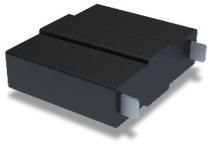 BSPDPV20K-825L